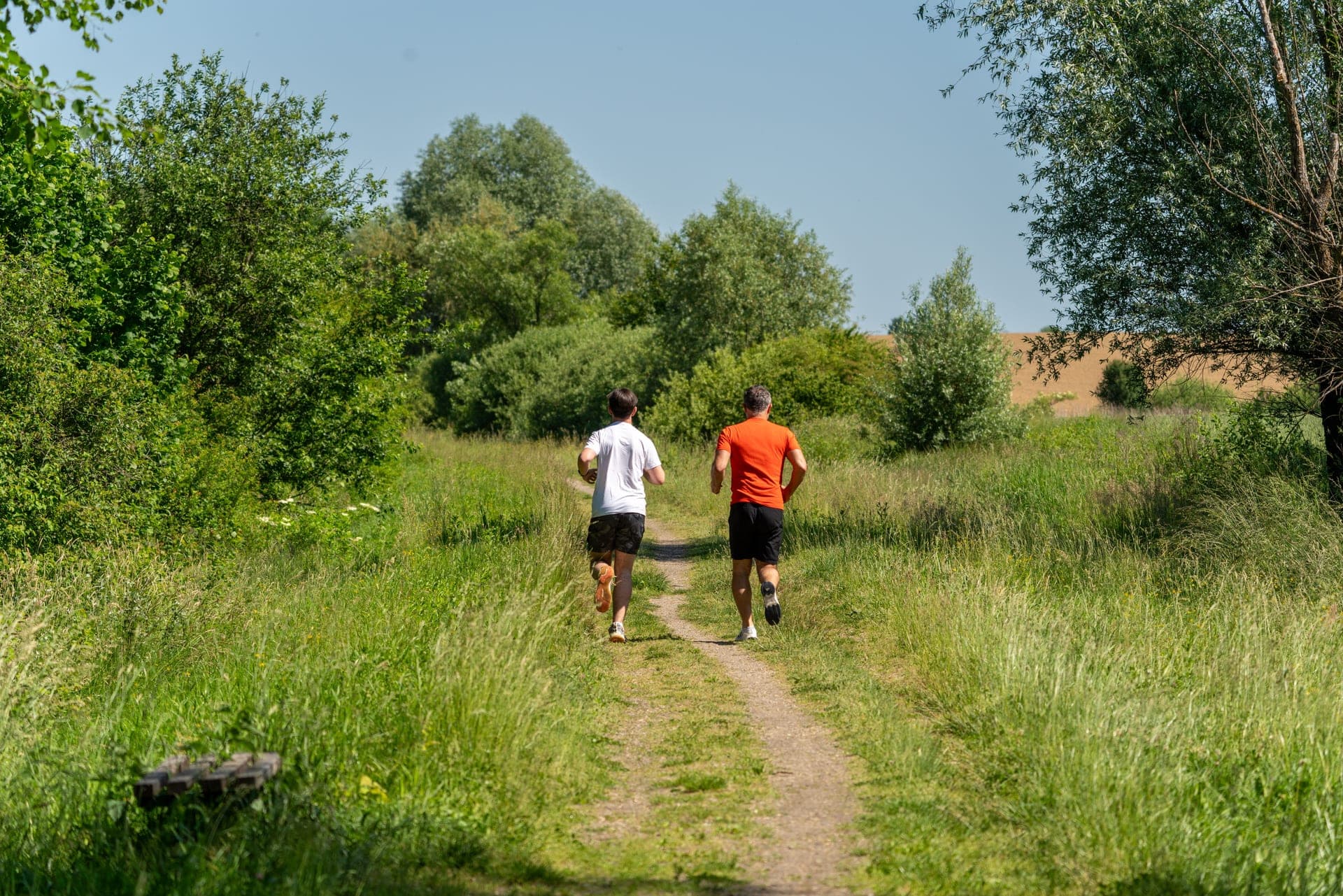 Αγώνες Trail στην Ελλάδα: Πρόγραμμα Φθινοπώρου και Χειμώνα 2026